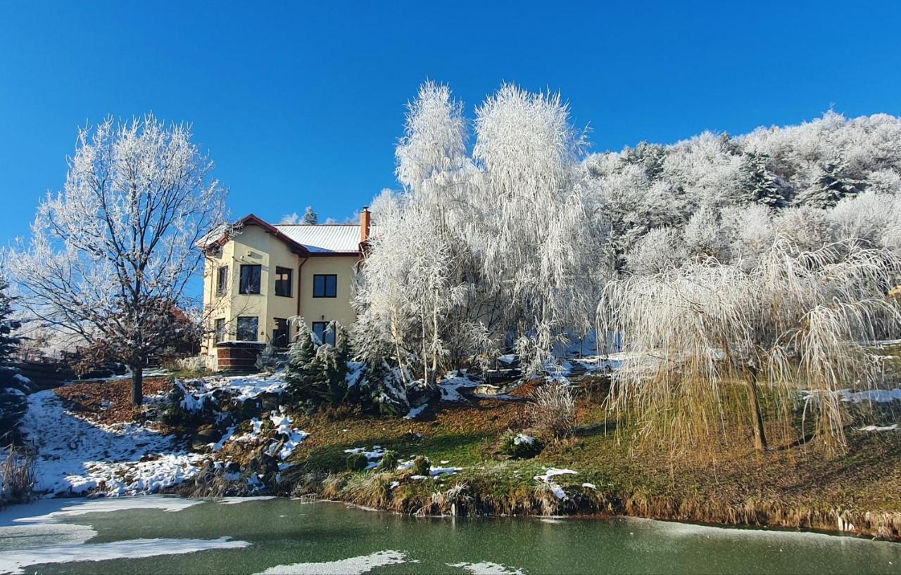 Trovanti Apartment Feleacu Εξωτερικό φωτογραφία