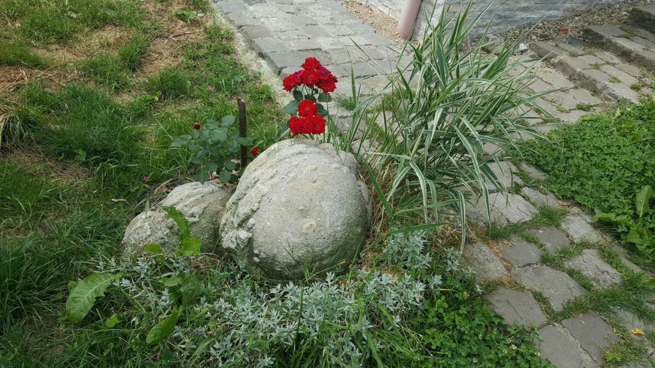 Trovanti Apartment Feleacu Εξωτερικό φωτογραφία